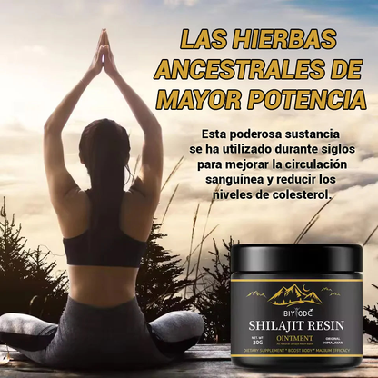 Resina Shilajit Orgánica Himalaya 30 gr